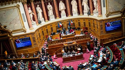 The Senate, January 25, 2023. (XOSE BOUZAS / HANS LUCAS / AFP)