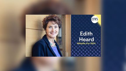 Edith Heard, professor at the Collège de France and director of the European molecular biology laboratory, is also a specialist in X chromosome inactivation. (SCREEN SHOT