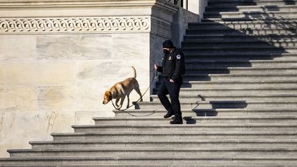 Des unités cynophiles sont en outre chargées d'effectuer des vérifications au Capitole, où Joe Biden prêtera serment le 20 janvier, pour s'assurer qu'auncun engin explosif n'y a été déposé. (SAMUEL CORUM / GETTY IMAGES NORTH AMERICA / AFP)