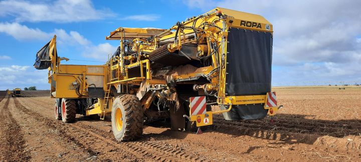 Potato harvest in Beauce, September 2022 (SOPHIE AUVIGNE / FRANCEINFO / RADIO FRANCE)