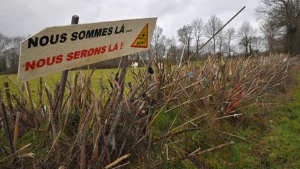 La "zone à défendre" de&nbsp;Notre-Dame-des-Landes (Loire-Atlantique), le 9 janvier 2018.&nbsp; (LOIC VENANCE / AFP)