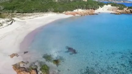 Plages du monde : l'or rose de Budelli