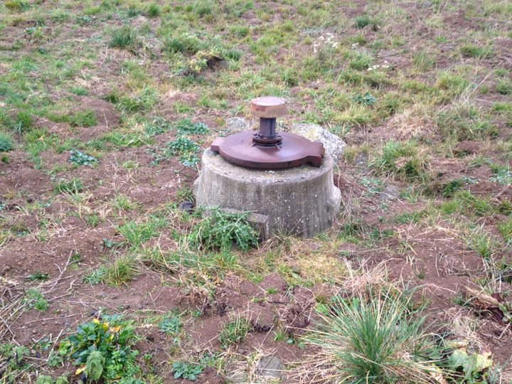 Un captage d'eau entouré par les trous des campagnols terrestres, à Paulhac (Cantal). (COLLECTIF CONTRE LES RATS TAUPIERS)