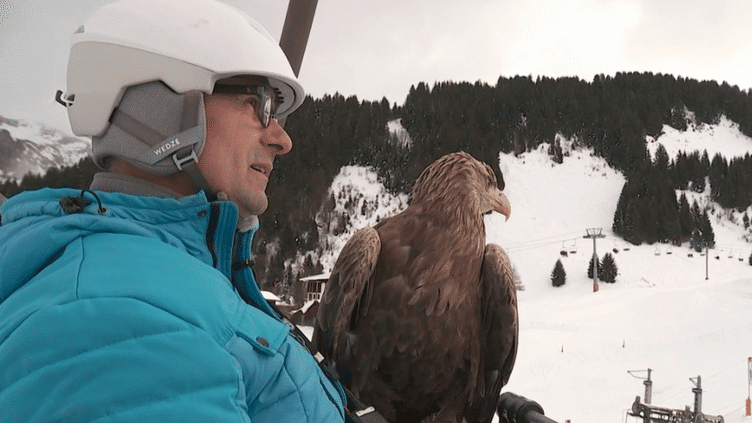 Haute-Savoie : skier avec le plus grand aigle d'Europe