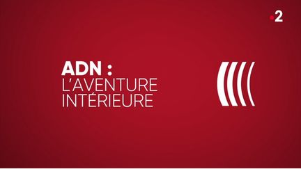 16 avril 2020
ADN : l'aventure intérieure (COMPLÉMENT D’ENQUÊTE / FRANCE 2)