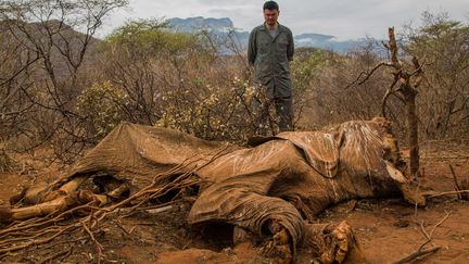 Une carcasse d'&eacute;l&eacute;phant victime des braconniers &agrave; Samburu, au Kenya, le 16 ao&ucirc;t 2012. (SIMON MAINA / AFP)