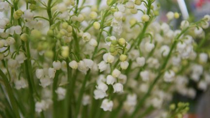 Vente de muguet à Périgueux à l'approche du 1er mai. (ROMAIN LONGIERAS / HANS LUCAS)