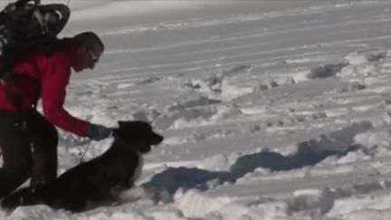 Comme chaque année, l'hiver constitue un risque élevé d'avalanches pour les massifs. En Isère, les jeunes chiens d'avalanches et leurs maîtres restent une priorité. Pendant deux semaines, ils apprennent à sauver rapidement des vies avant de passer un diplôme national. (FRANCE 3)