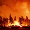 Le feu de forêt "Mosquito", le 13 septembre 2022 à Foresthill (Etats-Unis). (JOSH EDELSON / AFP)