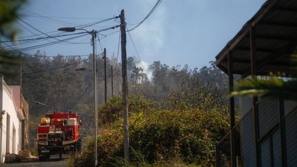 Des pompiers interviennent sur l'île espagnole de Tenerife, le 5 octobre 2023. (DESIREE MARTIN / AFP)