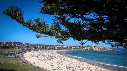 La plage de Bondi à Sydney (Australie), le 5 octobre 2020. (DAVID GRAY / AFP)