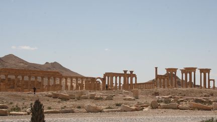 Des ruines dans la cité antique de Palmyre (Syrie), le 5 mai 2016. (FRIEDEMANN KOHLER / DPA)