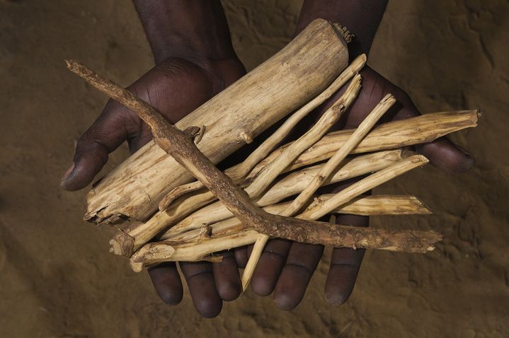 Iboga, la plane utilisée lors du rite Bwiti au Gabon
 (EMILIE CHAIX / AFP)