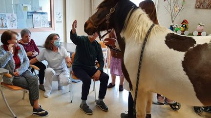 Sioux, la femelle poney, vient rendre visite aux résidents de l'Ehpad de la Providence, à Angoulême (Charente), le 20 avril 2021.
 (ALAIN GASTAL / RADIO FRANCE)