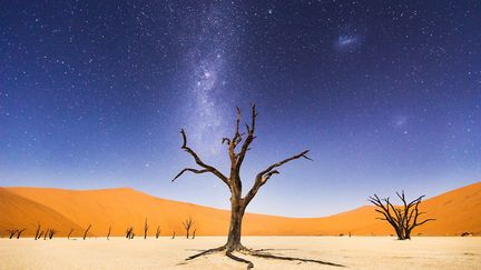 Quatri&egrave;me. "La nuit avant de retourner &agrave; Windhoek (la capitale de la Namibie), nous avons pass&eacute; plusieurs heures, explique la photographe, &agrave; Deadveli. La lune &eacute;tait suffisamment brillante pour illuminer les dunes de sable, mais le ciel &eacute;tait assez sombre pour que nous puissions voir la voie lact&eacute;e".&nbsp;National Geographic Contest. (BETH MCCARLEY)