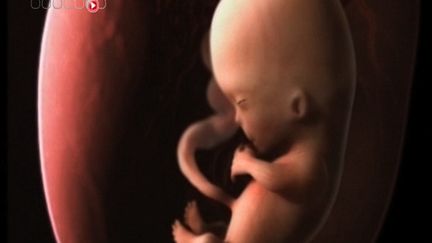 Retard de croissance intra utérin : l’expression des gènes du foetus serait impliquée