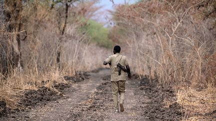 Les contrevenants aux règles du parc encourent des amendes salées et jusqu'à six mois de prison. Mais "ils fuient souvent avant notre arrivée", affirme à l’AFP l’un des gardes-chasse qui patrouillent dans la réserve pour retrouver les responsables des feux.&nbsp; &nbsp; (ABDULMONAM EASSA / AFP)