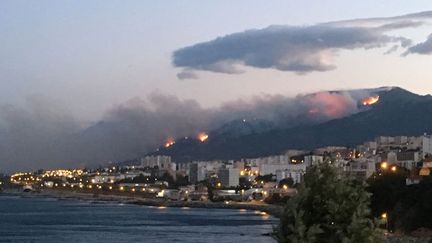 le feu de Biguglia. (Patou Fiori Rinieri / Radio France)