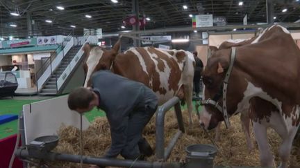 Salon de l’agriculture : l’événement perturbé par la guerre en Ukraine