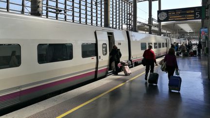 Un train en gare de Madrid (Espagne) le 19 mars 2017. Illustration (MATHIEU FERRI / FRANCE BLEU OCCITANIE / RADIO FRANCE)