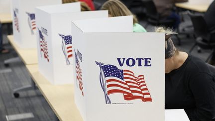 Des Américains votent de façon anticipée, dans le Michigan, le 3 novembre 2024. (JEFF KOWALSKY / AFP)