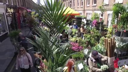 Londres : à la découverte de l'un des plus vieux marchés de fleurs