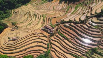 Chine : le décor sublime des rizières en terrasses de Yuanyang