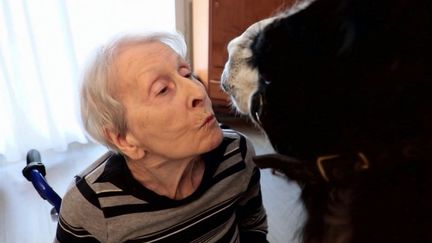 Zoothérapie : Jules le lama au chevet des résidents d’une maison de retraite toulousaine (France 2)