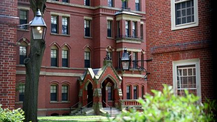 Le campus de l'université de Harvard, à Cambridge (Etats-Unis), le 8 juillet 2020. (MADDIE MEYER / GETTY IMAGES NORTH AMERICA / AFP)