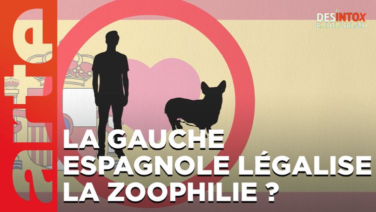 Désintox. Non, la gauche espagnole ne légalise pas la zoophilie.