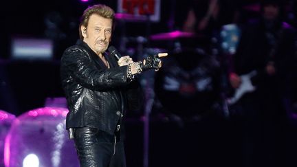 Johnny Hallyday en concert à Namur en Belgique, en juin 2013. (BRUNO FAHY / BELGA MAG / via AFP)