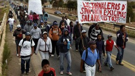 Manifestation d'ouvriers agricoles au Mexique, le 24 avril 2015. (AFP)