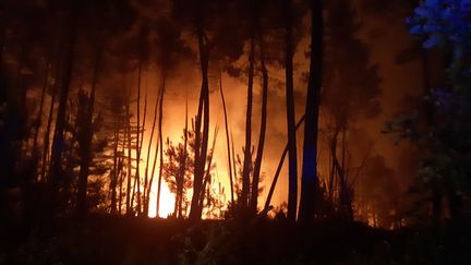 &nbsp;Incendie de nuit dans les bois de Beauzon à Lablachère, dans le Sud Ardèche.&nbsp;(illustration) (NATHALIE RODRIGUES / FRANCE-BLEU DRÔME-ARDÈCHE)