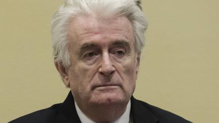 Radovan Karadzic devant les juges&nbsp;du Mécanisme pour les tribunaux pénaux internationaux de l'ONU à La Haye (Pays-Bas), le 20 mars 2019. (PETER DEJONG / AFP)