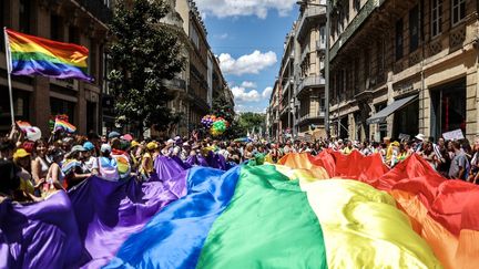 La marche des fiertés, à Toulouse (Haute-Garonne), le 10 juin 2023. (CHARLY TRIBALLEAU / AFP)