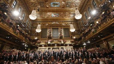 Le concert du Nouvel An 2013 à Vienne
 (DIETER NAGL / AFP)