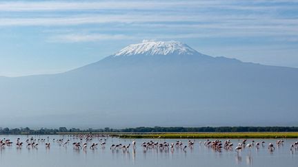 Le mont Kilimandjaro culmine à 5 895 mètres d'altitude. Le plus haut sommet d'Afrique est la destination rêvée&nbsp; des trekkers. (DENIS-HUOT MICHEL & CHRISTINE / / HEMIS.FR)