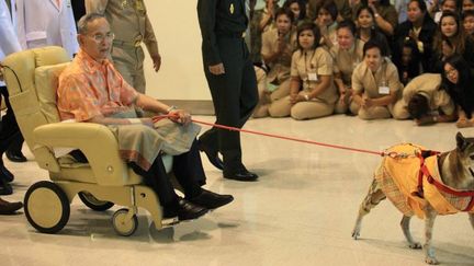 Le roi Bhumibol Adulyadej accompagné de son chien Thongdaeng, le 18 octobre 2012. (AFP/Bangkok Post photo/Patipat Janthong)