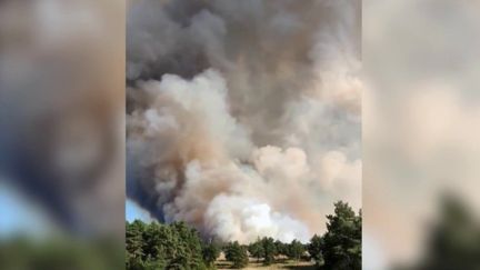 Les pompiers sont mobilisés pour tenter d'éteindre l'incendie qui a ravagé plus de 700 hectares en Lozère. (CAPTURE ECRAN FRANCE 2)