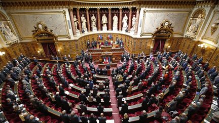 L'h&eacute;micycle du S&eacute;nat, &agrave; Paris, le 7 avril 2015. (CHARLES PLATIAU / AFP)