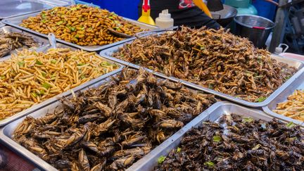 Des vendeurs d'insectes sur un marché en Thaïlande (photo d'illustration, le 13 avril 2024). (VINCENT ISORE / MAXPPP)