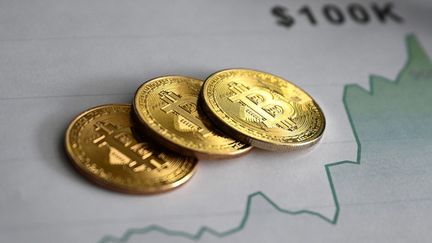 Le bitcoin s'échangeait à 103 800,44 dollars, le 5 décembre 2024, un record pour cette cryptomonnaie. (HAKAN NURAL / ANADOLU / AFP)