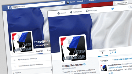 &nbsp; (Les comptes Facebook et Twitter mis en place par le gouvernement (captures d'écran).)