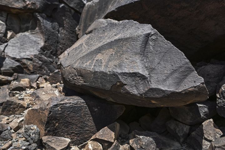 D'anciennes représentations d'animaux sauvages et d'autres pratiques culturelles, caractéristiques de l'époque, gravées dans la roche volcanique à Abourma. (TONY KARUMBA / AFP)