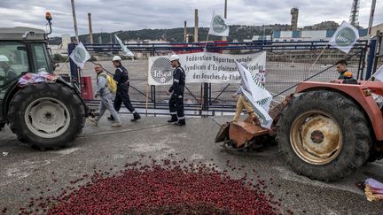 La raffinerie de La Mède (Bouches-du-Rhône), bloquée&nbsp;par des agriculteurs le 11 juin 2018. (MAXPPP)