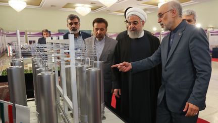 Une photo prise par la présidence iranienne montrant le président iranien, Hassan Rouhani, avec le directeur de l'organisation de technologie nucléaire iranienne, Ali Akbar Salehi, le 9 avril 2019 à Téhéran (Iran).&nbsp; (HO / IRANIAN PRESIDENCY / AFP)