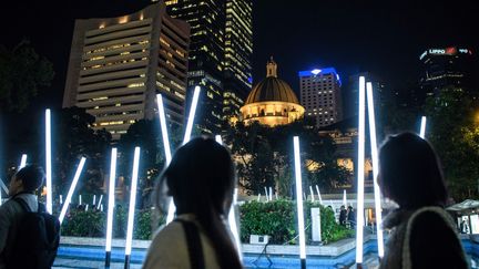 La forêt de bambous de Christophe Mayer a beaucou plu aux hongkongais
 (Anthony WALLACE / AFP)