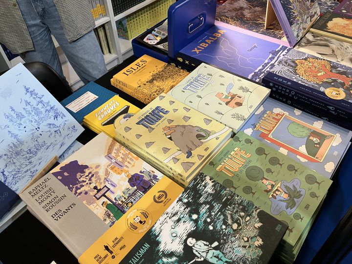 Les livres des éditions 2024 sur leur stand, Angoulême le 27 janvier 2023 (LAURENCE HOUOT / FRANCEINFO CULTURE)