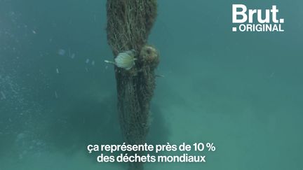 VIDEO. Cette asso récupère les filets de pêche abandonnés en mer (BRUT)