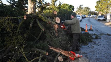 Un homme coupe les branches d'un arbre tombé sur la chaussée, à Angoulins, près de La Rochelle (Charente-Maritime), samedi 4 février 2017.&nbsp; (XAVIER LEOTY / AFP)